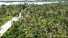Developable lot for Sale in General Luna, Surigao Del Norte